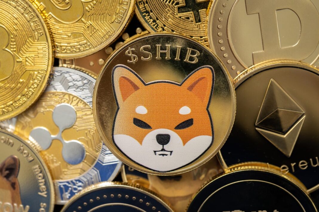 Harga Shiba Inu menunjukkan investor jangka panjang masih membeli, apakah titik terendah pasar sudah dekat?