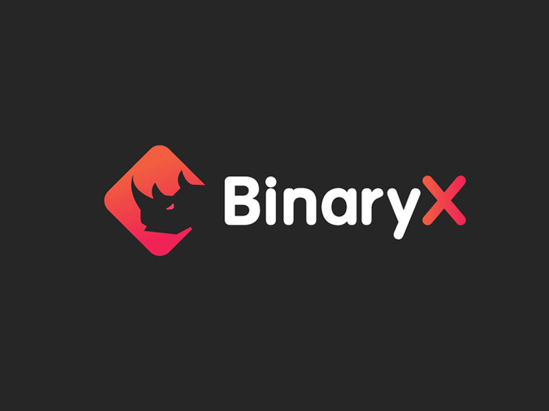 Token BNX BinaryX Anjlok Lebih dari 50% dalam 24 Jam Terakhir