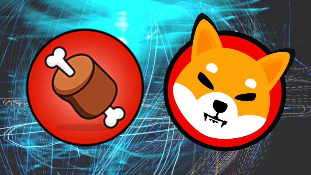 Ada Apa Di Balik 25% Kenaikan BONE, Token Shiba Inu?