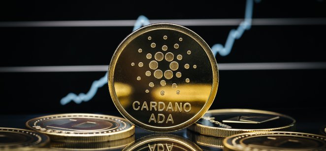 Cardano Shark Holdings Mencapai 4 Miliar $ADA Setelah Akumulasi Stabil