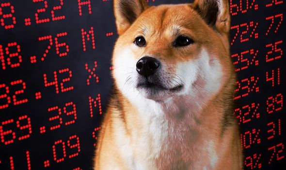 DOGE Crash Incoming?