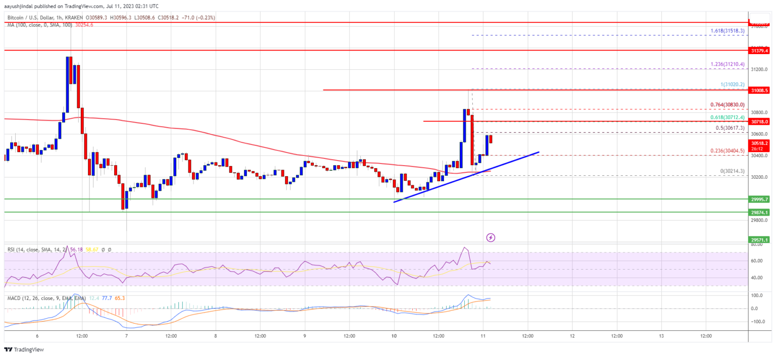 Harga Bitcoin Bertahan Tapi Momentum Terus Memudar Di Bawah $31K