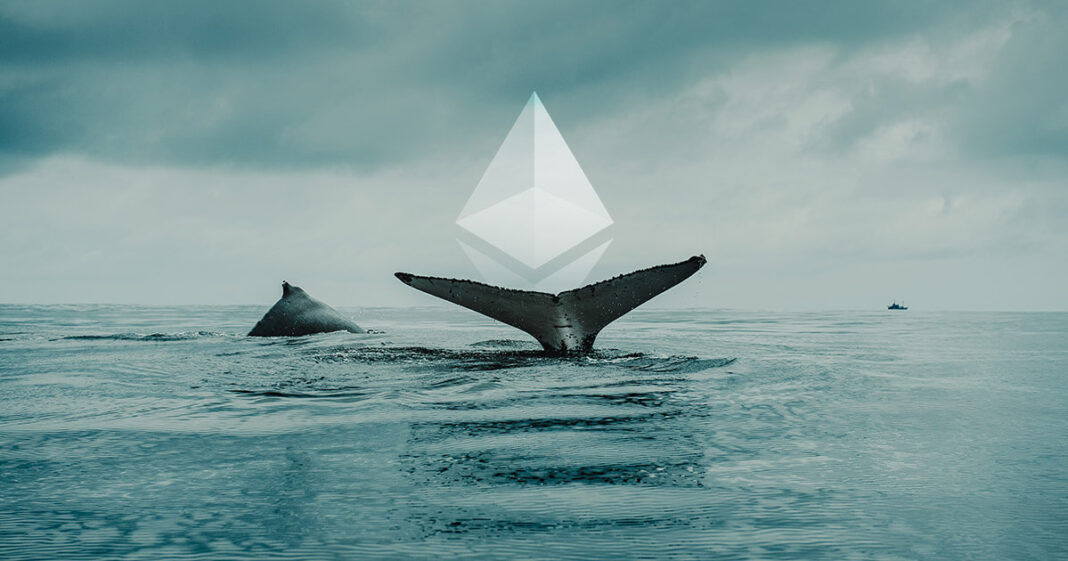 Ethereum Whale Siap Untuk Langkah Berikutnya Setelah Membeli 56,000 ETH