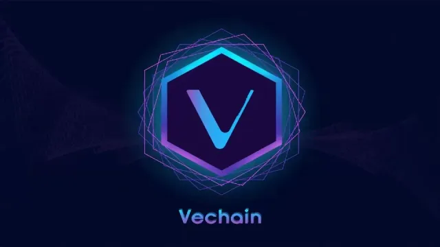 VeChain: Semua yang Perlu Anda Ketahui Tentang Platform Blockchain