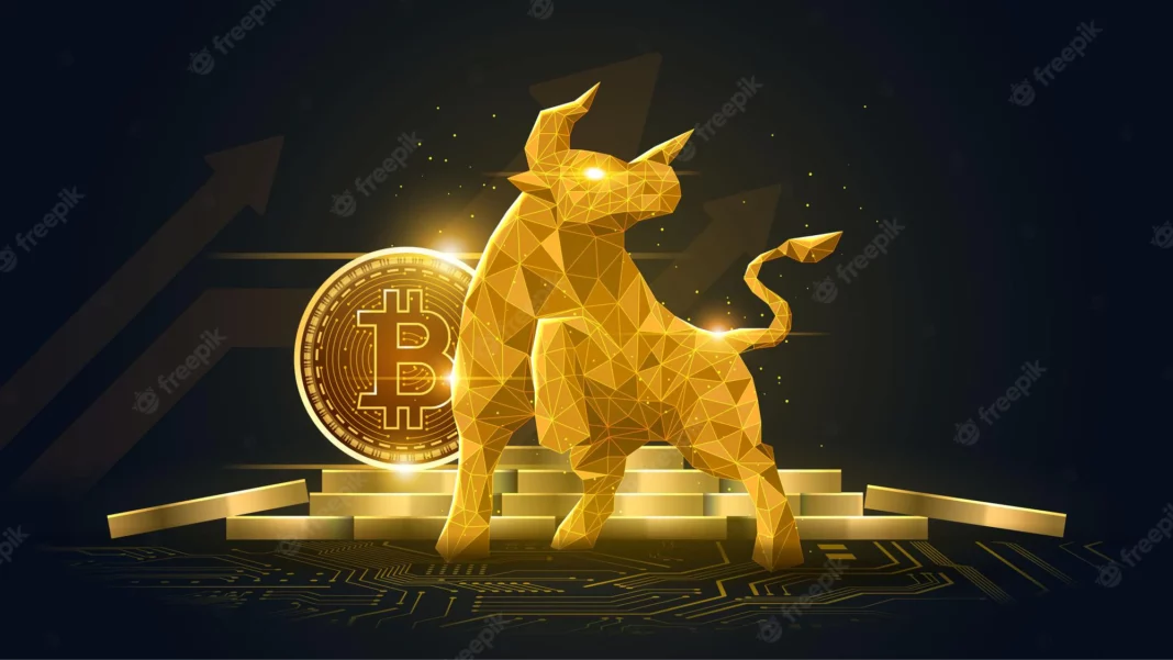 Kapan Bitcoin Bull Run Dimulai? Ini Bisa Menjadi Metrik yang Harus Diperhatikan