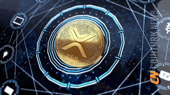 Ripple on the Rebound: Bagaimana Peristiwa Halving Bitcoin Dapat Meningkatkan Harga XRP