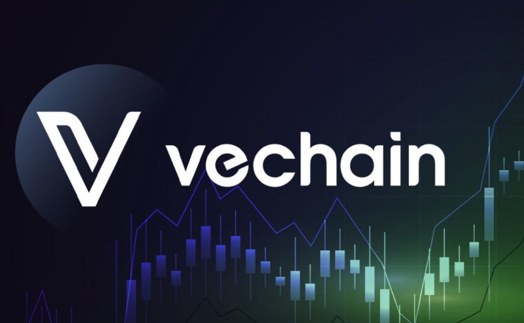 Peringatan Kripto: Bull Run VeChain Segera Terjadi, Pakar Memprediksi Reli 500%