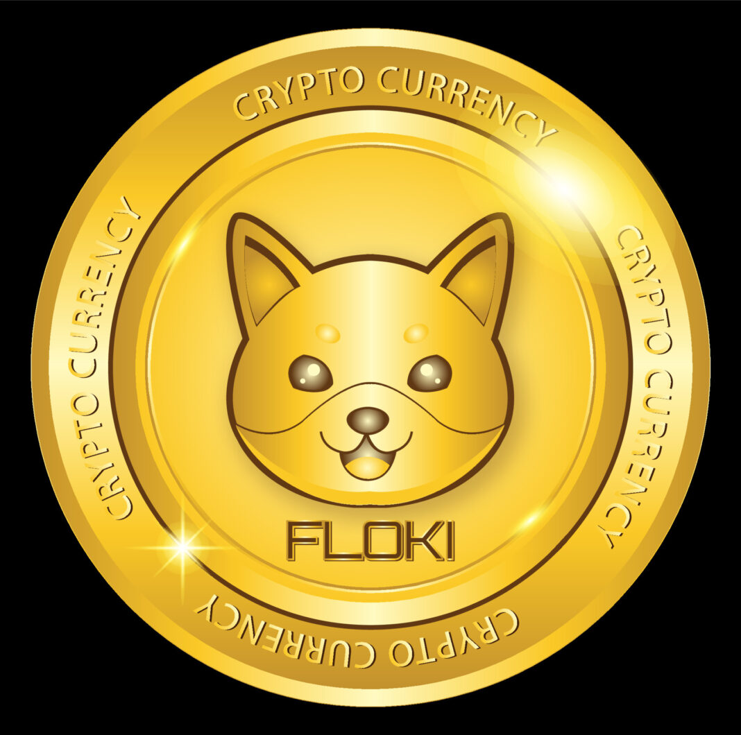 Floki Inu (FLOKI) Meroket 15% Mencapai Tertinggi Baru Sepanjang Masa, Mengendarai Tren Naik BNB