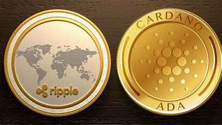 Ripple (XRP) v Cardano (ADA): Bagaimana Keruntuhan Pasar Kripto Mempengaruhi Arus Masuk