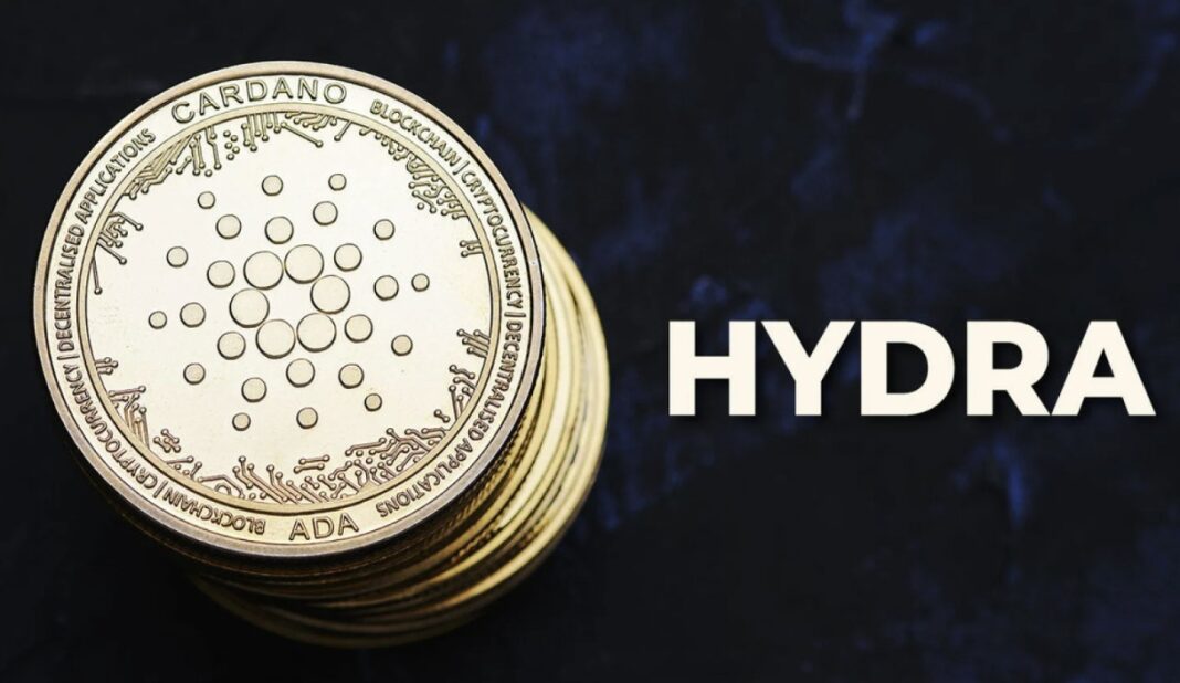 Pendiri Cardano Menggoda Rilis Hydra Dalam Dua Minggu